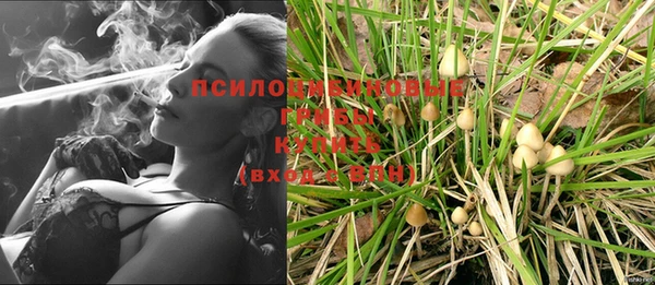 прущие грибы Арсеньев