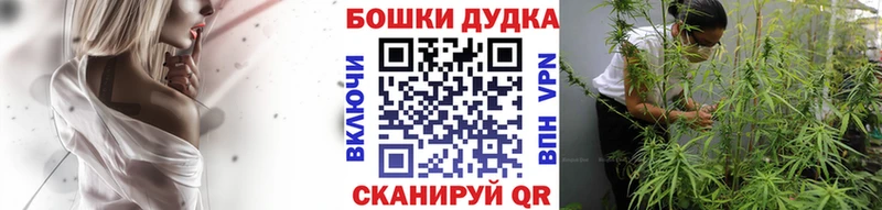 где можно купить наркотик  Унеча  Каннабис планчик 
